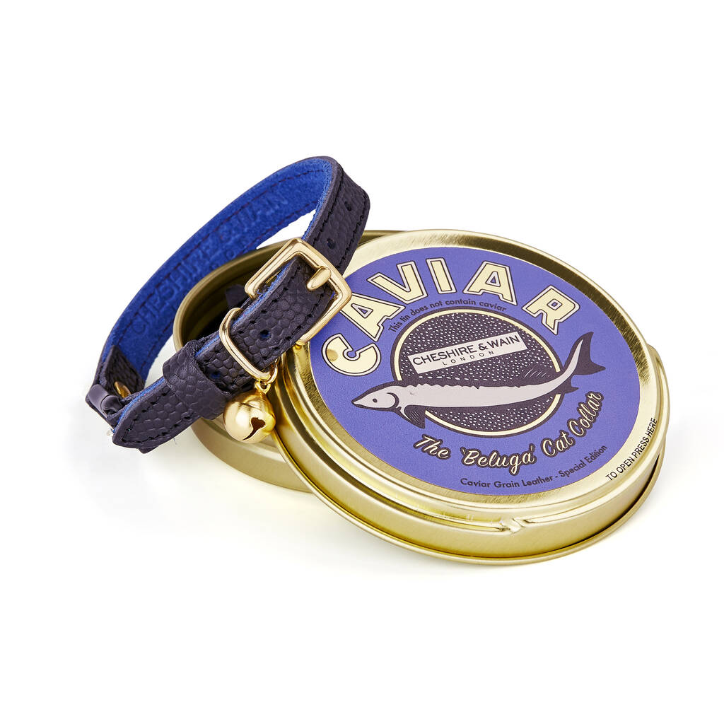 The 'Beluga' Cat Collar With Safety Catch By Cheshire & Wain