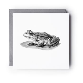 Marsh Frog Widlife Greeting Card, 3 of 6