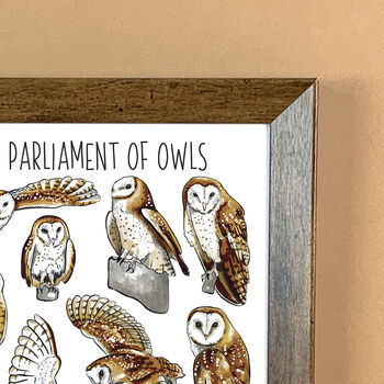 Barn Owls Watercolour Art Print, 6 of 7