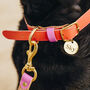 Luxury Leather Dog Collar, thumbnail 1 of 11