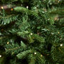 Hartford Pre Lit Potted Christmas Tree, thumbnail 3 of 3