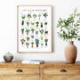 The A To Z Of Houseplants Print, thumbnail 4 of 6