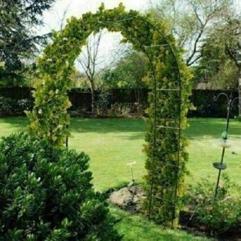 Quality Garden Arch, 5 of 7