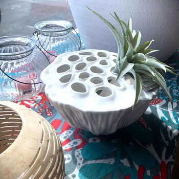 White Lotus Stem Hole Vase, 3 of 9