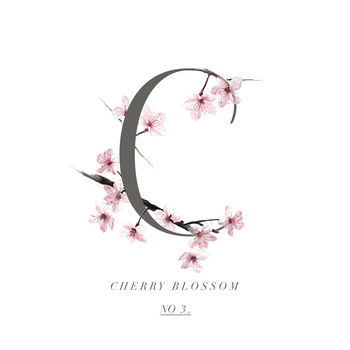 Cherry Blossom Botanical Art Print, 2 of 3