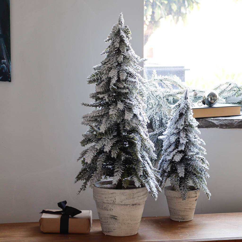 Large Snowy Christmas Tree In Pot By Marquis & Dawe