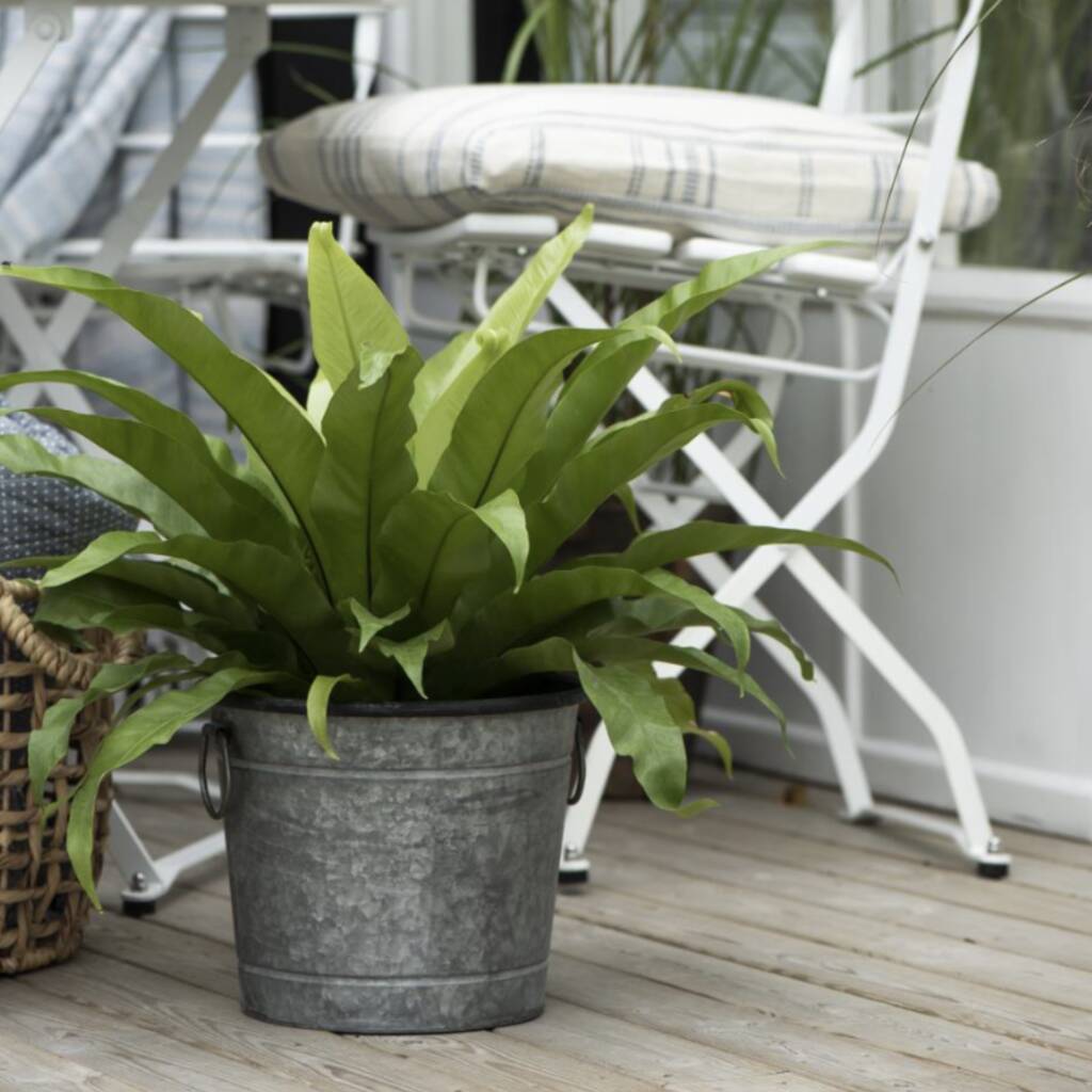 Metal Christmas Tree Planter Various Sizes, 1 of 2