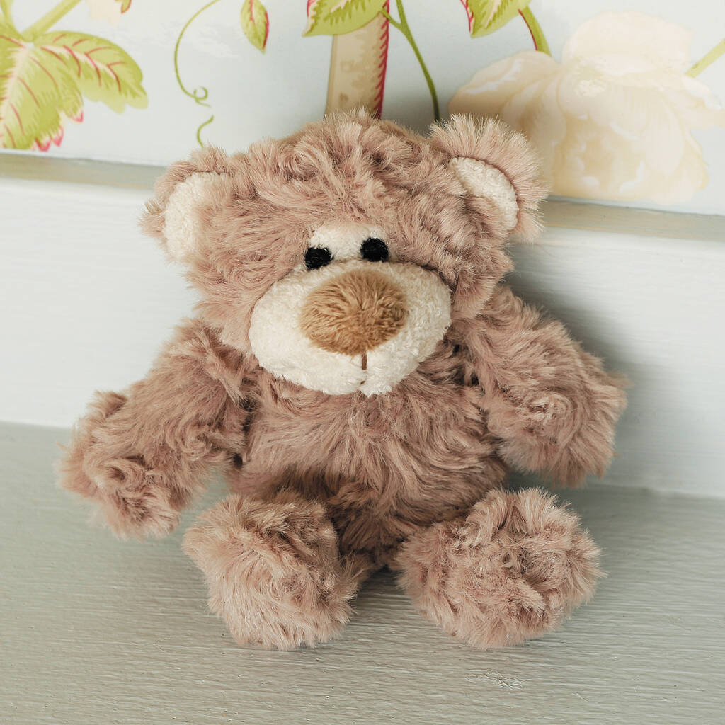 personalised cuddly teddy bear