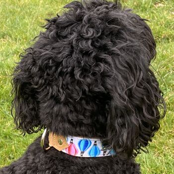 Balloons Designer Collars Matching Lead Available, 7 of 7