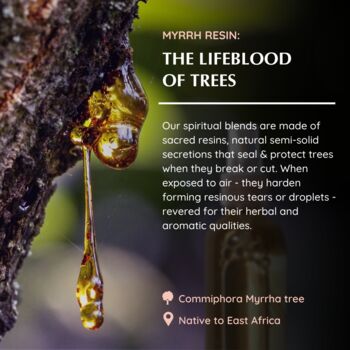 Myrrh Natural Mist, 7 of 7