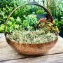 Vintaged Copper Bowl Planter With Handle, thumbnail 4 of 8