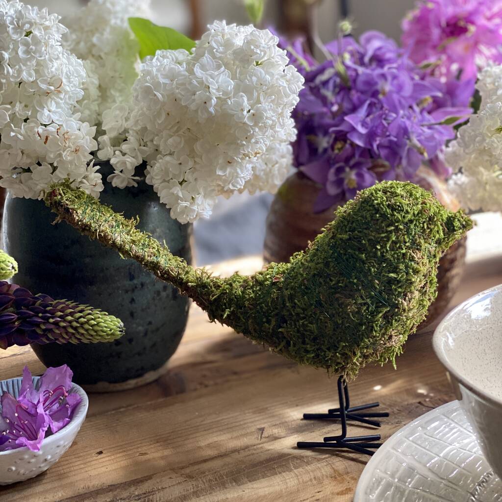 Topiary Moss Bird Kit Box Set By The Florist's Daughter