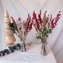 Small Red And Green Dried Flower Arrangement With Vase, thumbnail 1 of 3