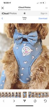 Heart Of Blue Adjustable Dog Harness, 6 of 7