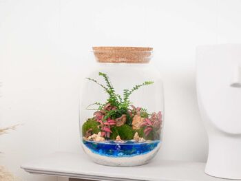 Beach Themed Terrarium Kit | 'Dominica', 6 of 12