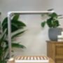 Acqua Smart Garden Two Hydroponic Growing System, thumbnail 2 of 5