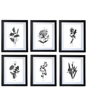 Six Framed Vintage Flower Art Prints, 10 of 10
