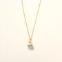 Aquamarine Owner Necklace And Pet Collar Charm Set, thumbnail 5 of 7