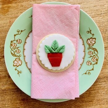 House Plant Biscuit Letterbox Gift Set, 7 of 8
