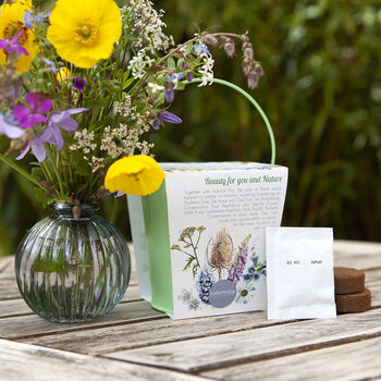 Grow Your Own Wildflower Bouquet And Vase Gift Set, 11 of 12