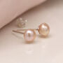 Sterling Silver Pink Freshwater Pearl Stud Earrings, thumbnail 3 of 8