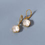 Frosted White Square Earrings With Swarovski Crystals, thumbnail 1 of 3