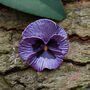 Pansy Purple Flower Brooch, thumbnail 1 of 6