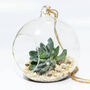 Hanging Glass Vase Succulent Terrarium Xmas Gift, thumbnail 1 of 2