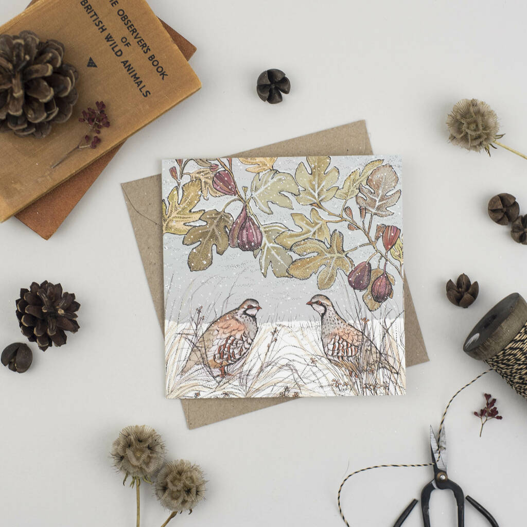 'partridge And Figs' Christmas Card By Fay's Studio