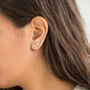 Silver Or Gold Swallow Stud Climber Earrings, thumbnail 6 of 11