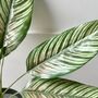 Artificial Potted Leafy Plant, thumbnail 4 of 5