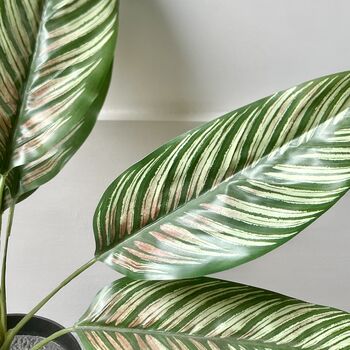 Artificial Potted Leafy Plant, 4 of 5