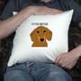 Personalised Dog Cushion; All Breeds Available, thumbnail 3 of 11