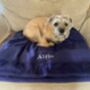 Personalised Dog Pets Large Cotton Towel, thumbnail 4 of 12