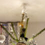Hand Painted Wedding Venue Bauble – Custom Illustration With Couple’s Names And Date, thumbnail 5 of 8