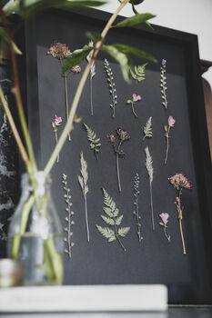 A3 Framed Pressed Flower Art – Shadow Garden On Black, 6 of 8