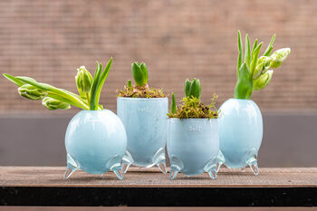 Evita Glass Vase Set Salmon, 7 of 8