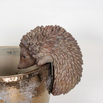 Hedgehog Pot Hanger, 6 of 6