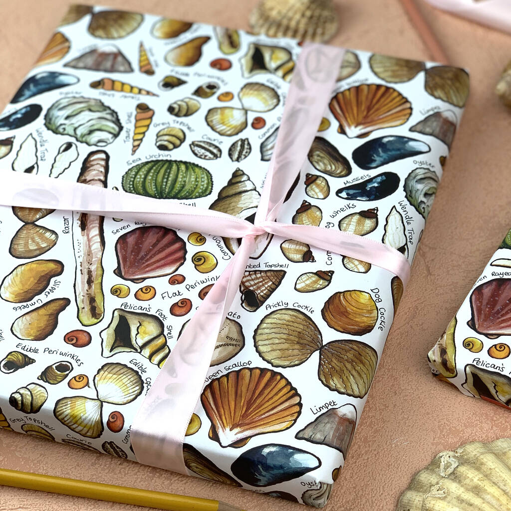 Seashell meaning picture