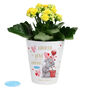 Personalised Me To You Love Grows Plant Pot, thumbnail 3 of 3