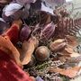 Autumn Dried Flower Wreath 'Bronte', thumbnail 2 of 8