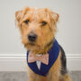 Navy And Pink Dog Wedding Suit, thumbnail 2 of 9