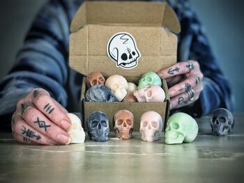 Dead Ed's Skull Wax Melts Box Of Five White, 3 of 3