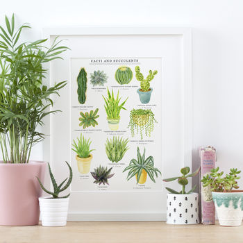 Cacti And Succulents Illustrated Giclée Print, 2 of 7