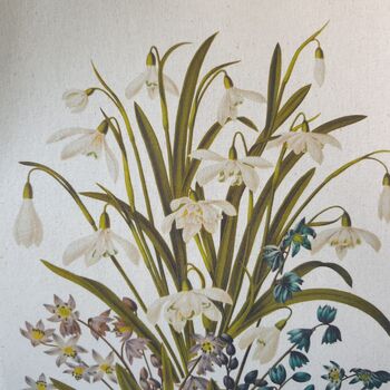 Snowdrop Flower Print Cotton Tote Bag Gift For Winter, 3 of 8