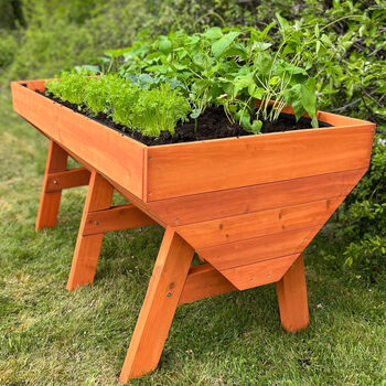 Large Raised Vegetable Planter With Three Liners, 6 of 11