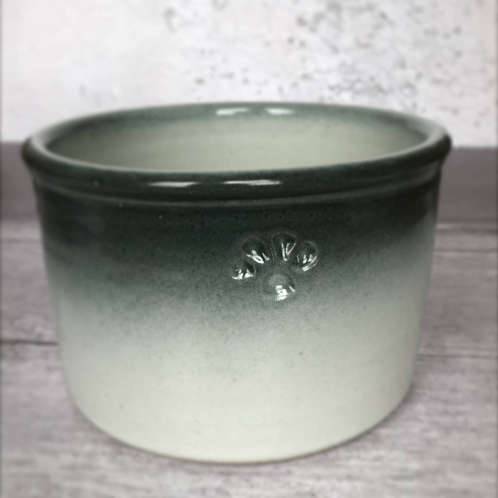 handmade pottery dog bowl by the dandy dog company