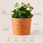 Personalised Friendship Flower Pot, thumbnail 6 of 11