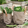 Father's Day Gift Set Of Two Khaki Garden Storage Bags, thumbnail 1 of 7