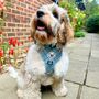 Dog Harness Set Bundle Collar Lead Set Sage Green Check, thumbnail 7 of 12